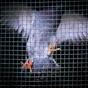 大胸❌挤奶❌真人❌网站
