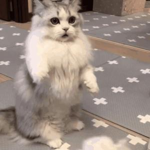 成人做爰高潮片免费
