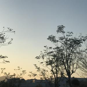 吞精口交激情欧美人妖
